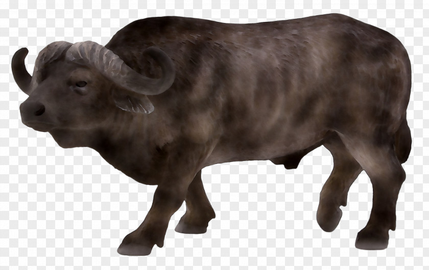 Water Buffalo Tim's Toy Farm Schleich Cattle PNG