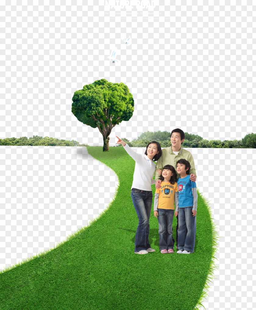 A Person Standing On The Grass Green Download PNG