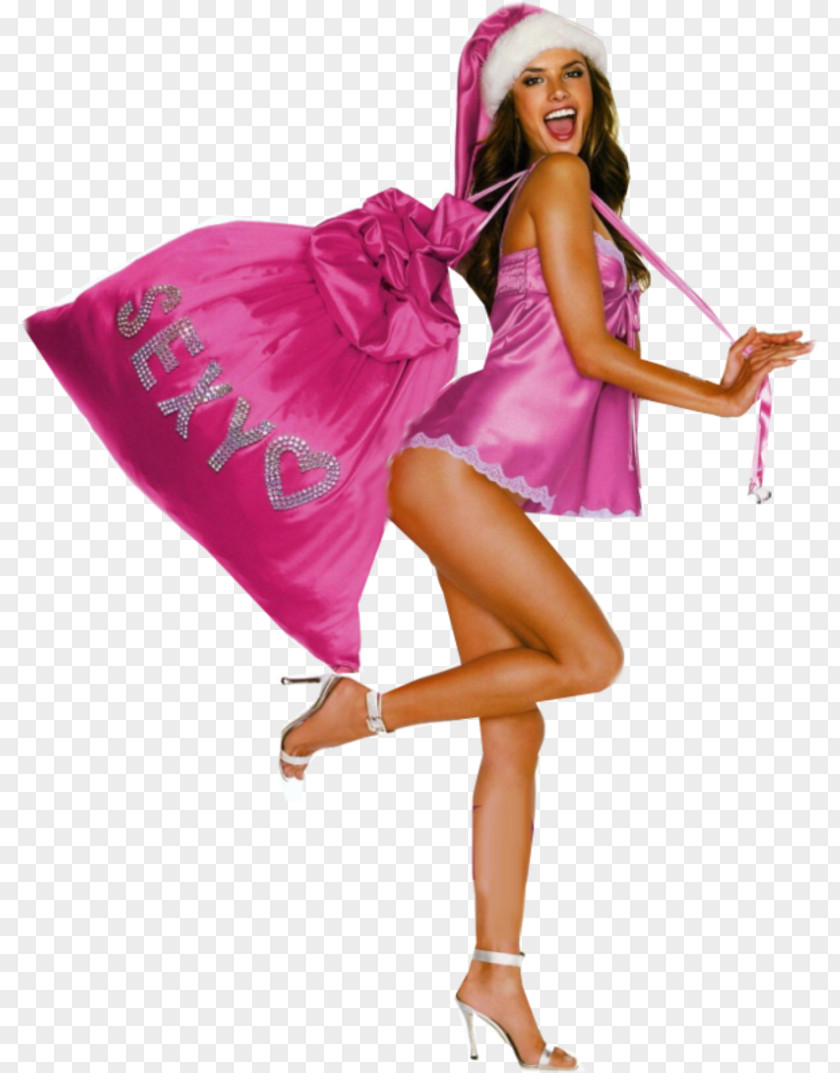 Christmas 2012 Victoria's Secret Fashion Show New Year Pink PNG