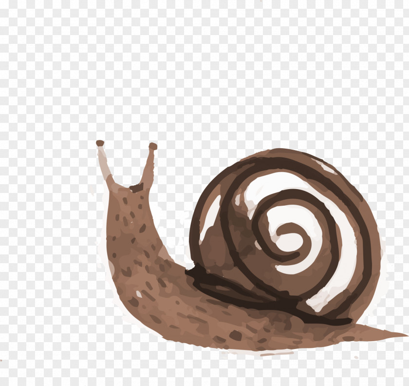 Coffee Hand Painted Snail Orthogastropoda Illustration PNG