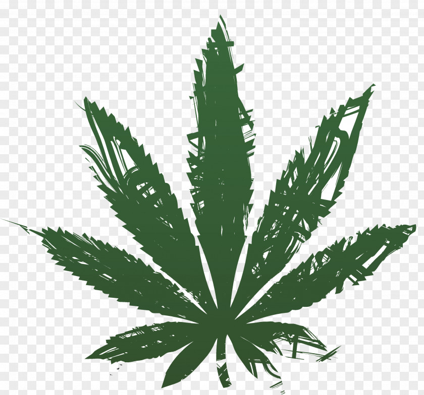 Hemp Leaves Medical Cannabis Tetrahydrocannabinol PNG