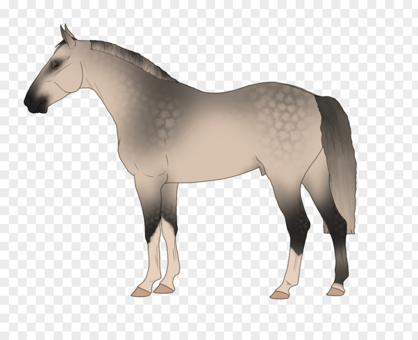 Mustang Stallion Rein Horse Harnesses Halter PNG