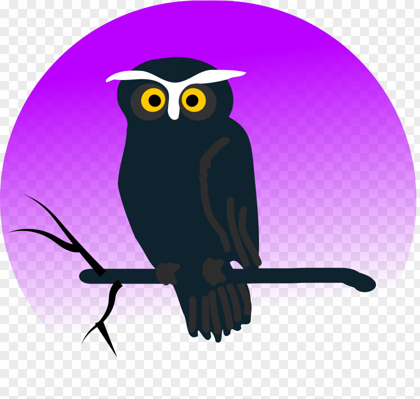 Owl Halloween Animation Clip Art PNG