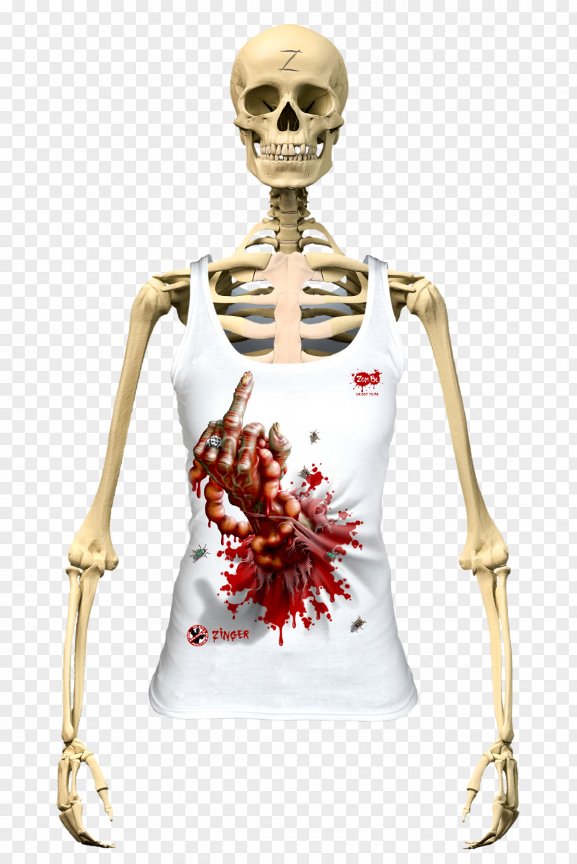 Skeleton Human The Skeletal System Body Vertebral Column PNG