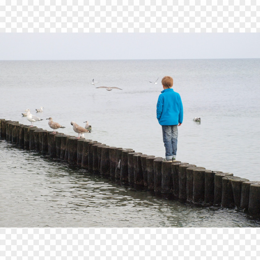 Child Groyne Shore Psychology Breakwater PNG