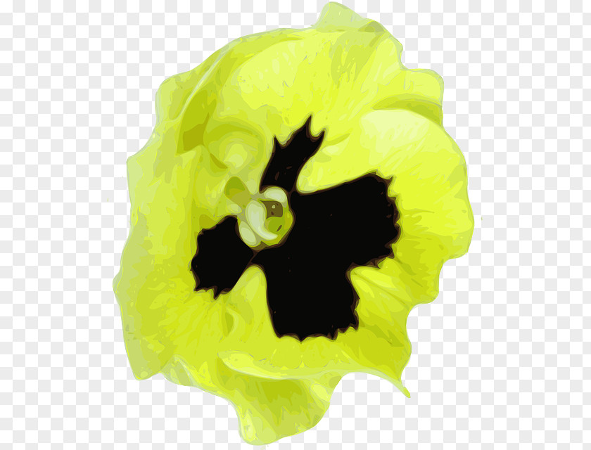 Flowers Nature Pansy Clip Art Flower Plants PNG