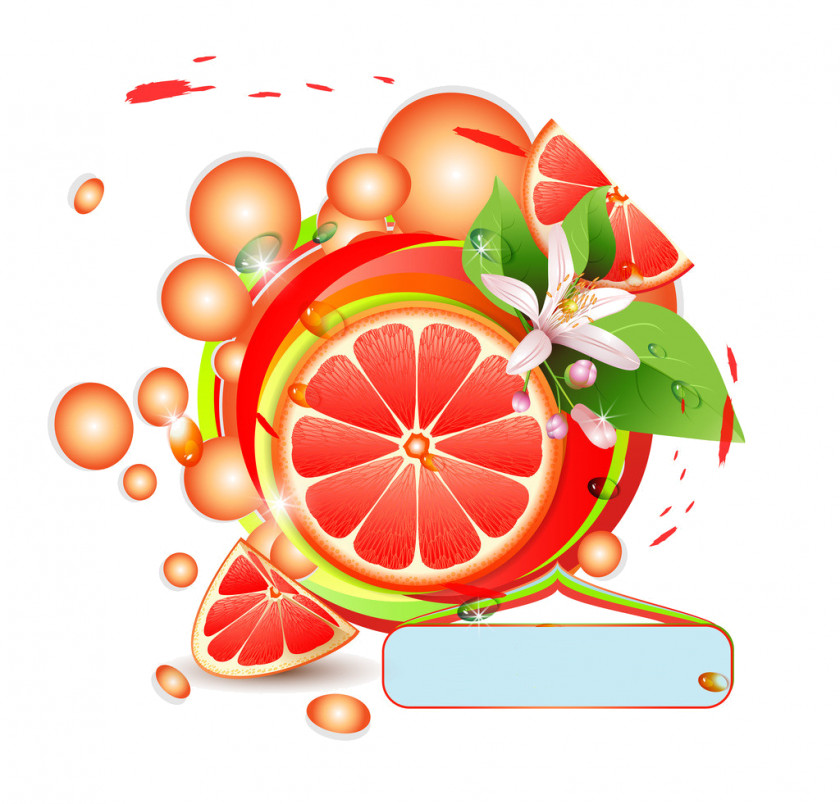 Grapefruit Juice Drawing Clip Art PNG