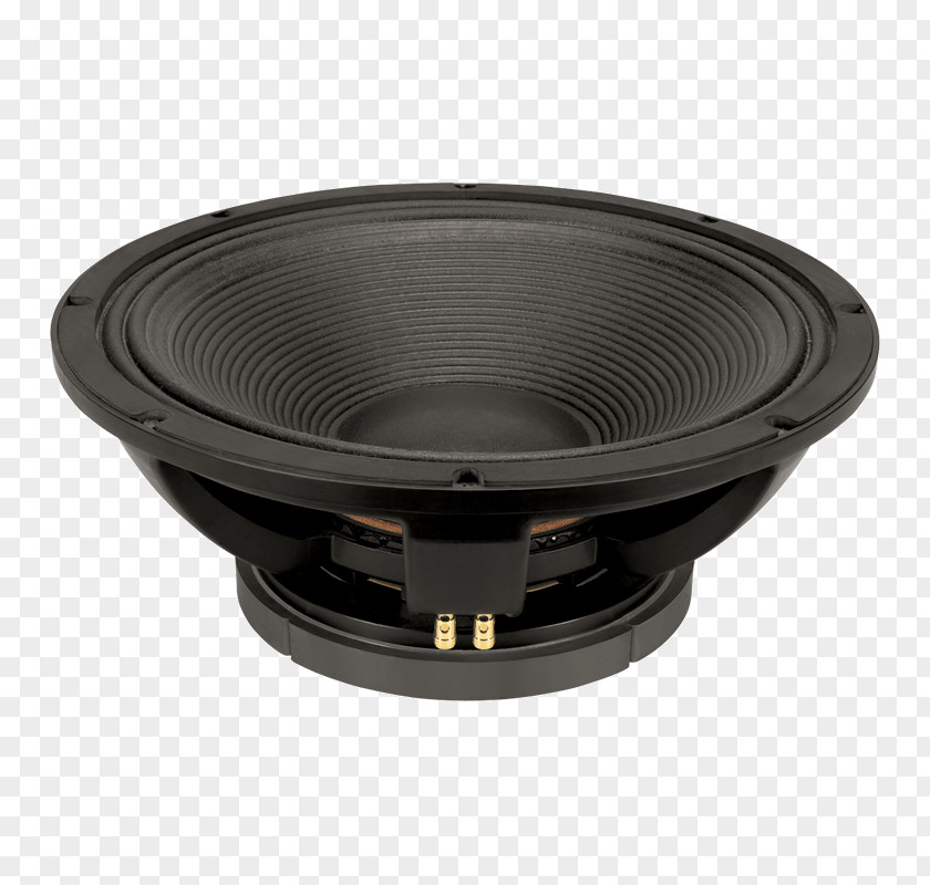 Microphone Subwoofer Loudspeaker Enclosure Public Address Systems PNG