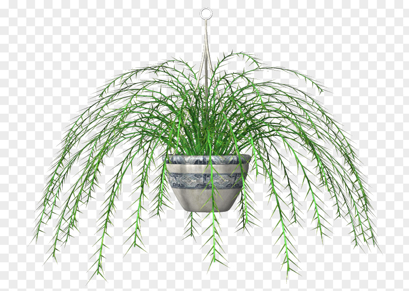 Pot Tree Clip Art Flowerpot Leaf Grasses PNG