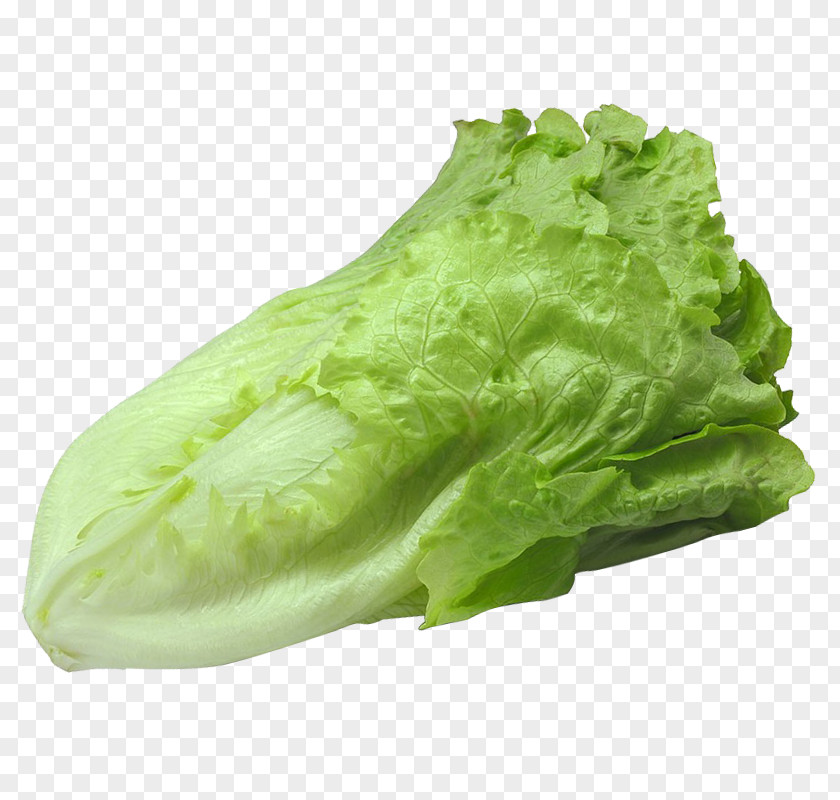 Barbecue With Lettuce Romaine Vegetable PNG