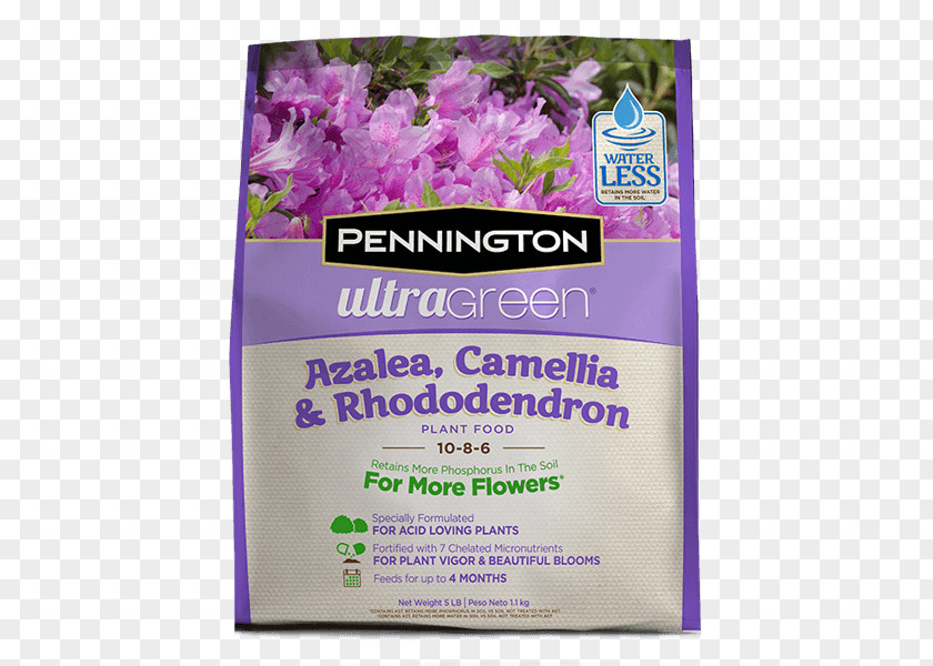 Camellia Lawn Weed Control Rhododendron Azalea Garden PNG