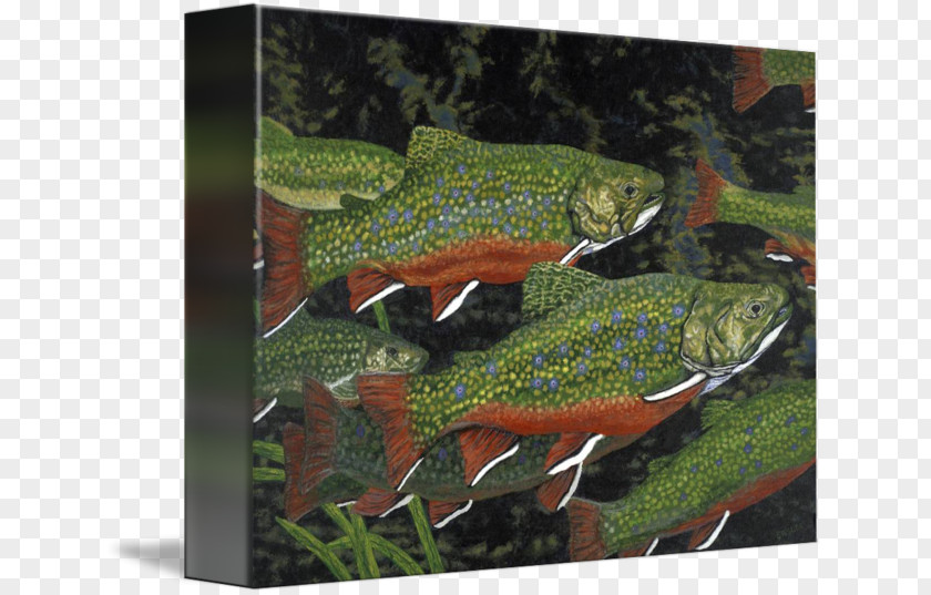 Fish Water Painting Rainbow Trout Brook Salmon PNG