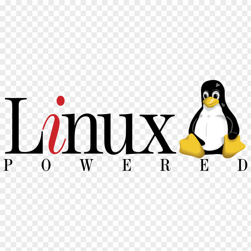 Logo Linux Penguin Brand Product Design 运维 PNG
