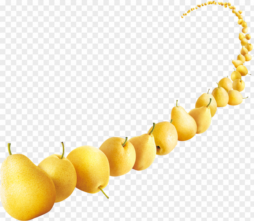 Pear Creative Fruit PNG