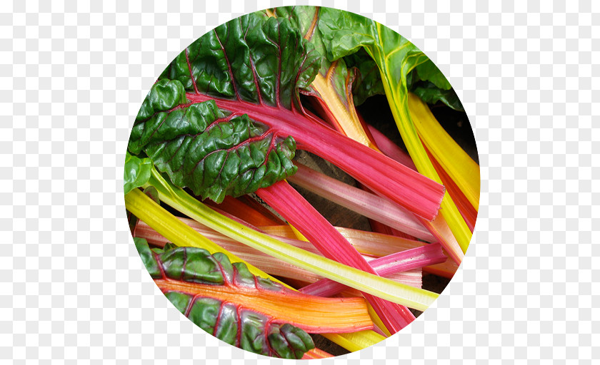 Vegetable Chard Common Beet Heirloom Plant Garden Rhubarb PNG