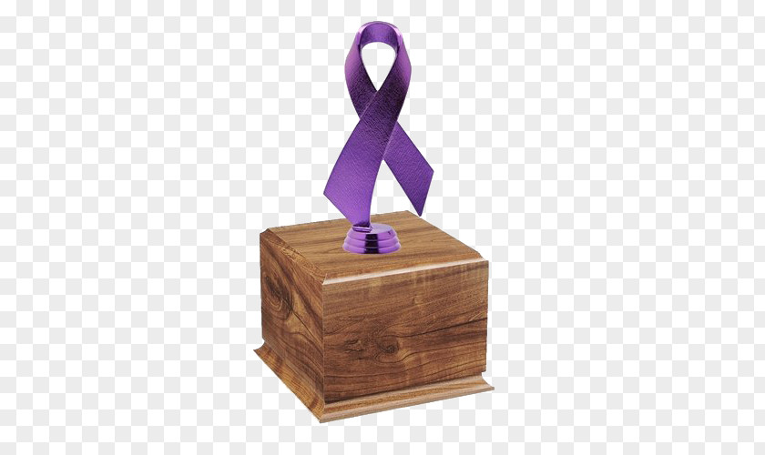 Wood Box Decoration Ribbon PNG