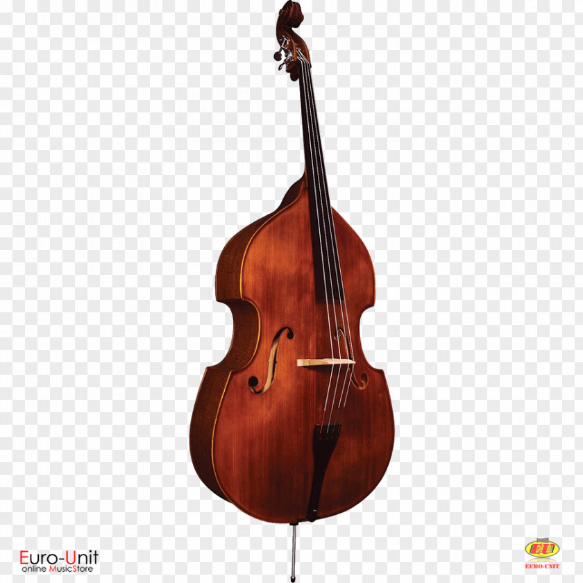 Bass Guitar Violone Double Violin Viola PNG