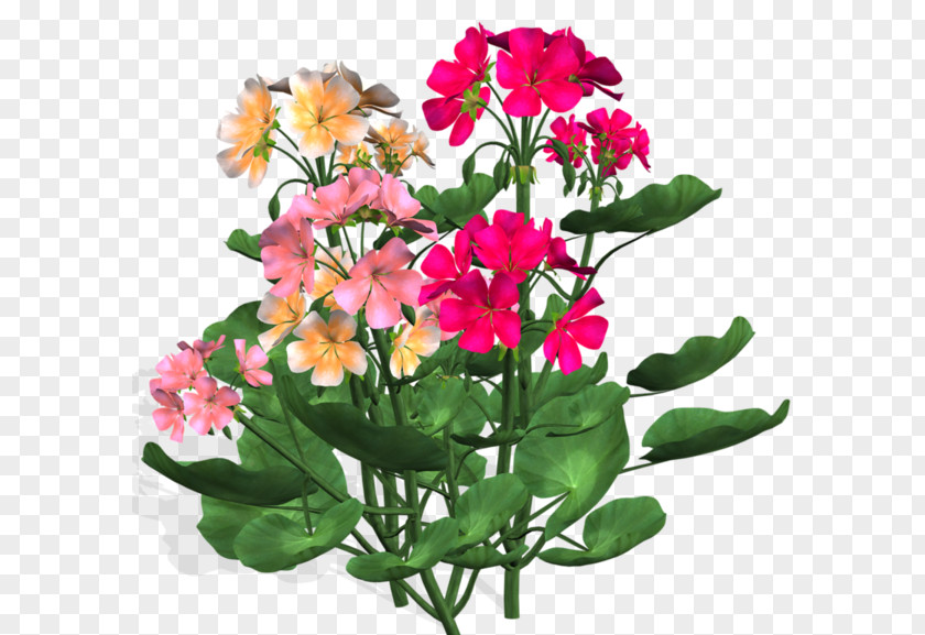 Bloemen Cut Flowers Floral Design Flower Bouquet Nosegay PNG