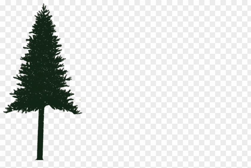 Cabins At Ruby Beach Washington Spruce Christmas Tree Logo Pine Ornament PNG