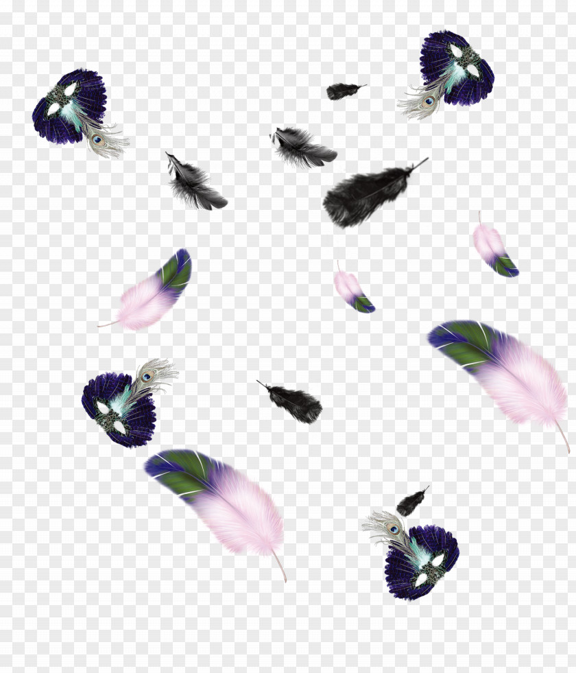 Feather Icon PNG