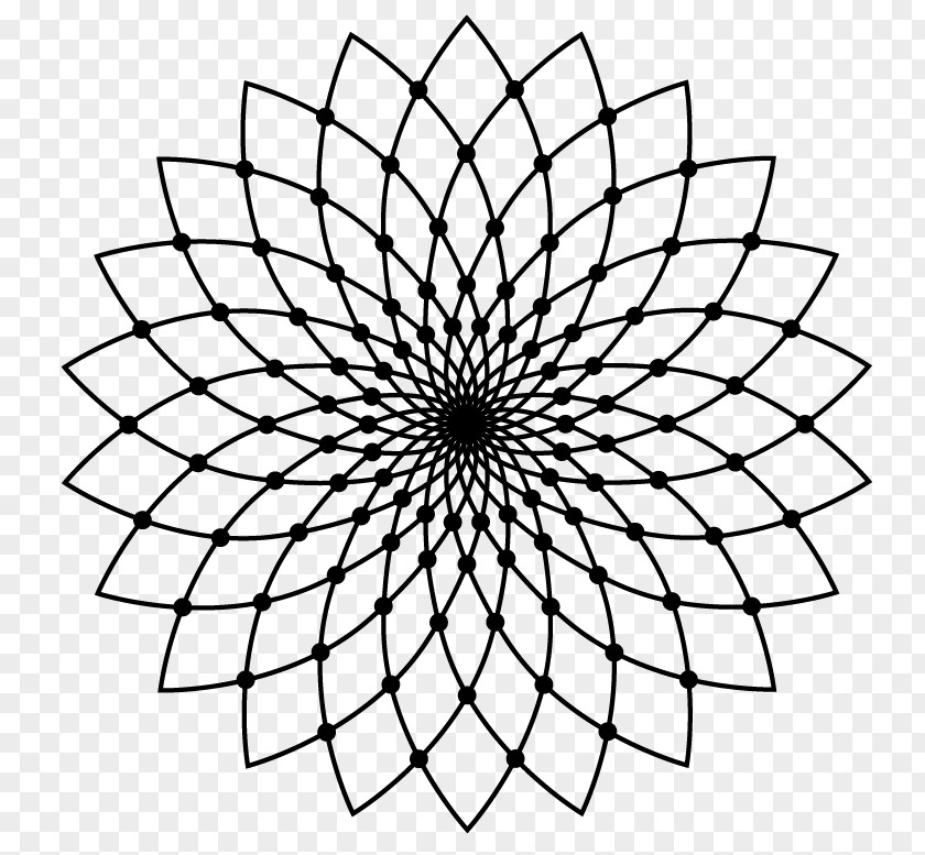 Flower Sacred Geometry Nelumbo Nucifera PNG