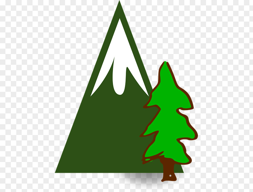 Interior Design Colorado Spruce Christmas Tree Line Drawing PNG