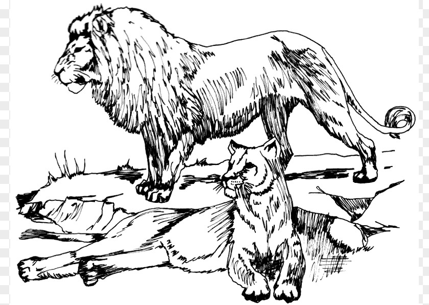 Lioness Cliparts Lion Tiger Big Cat Clip Art PNG
