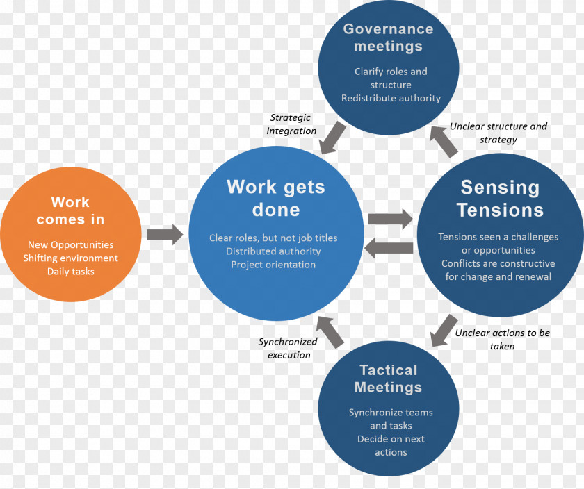 Organizational Framework Structure Leadership Consultant Holacracy PNG