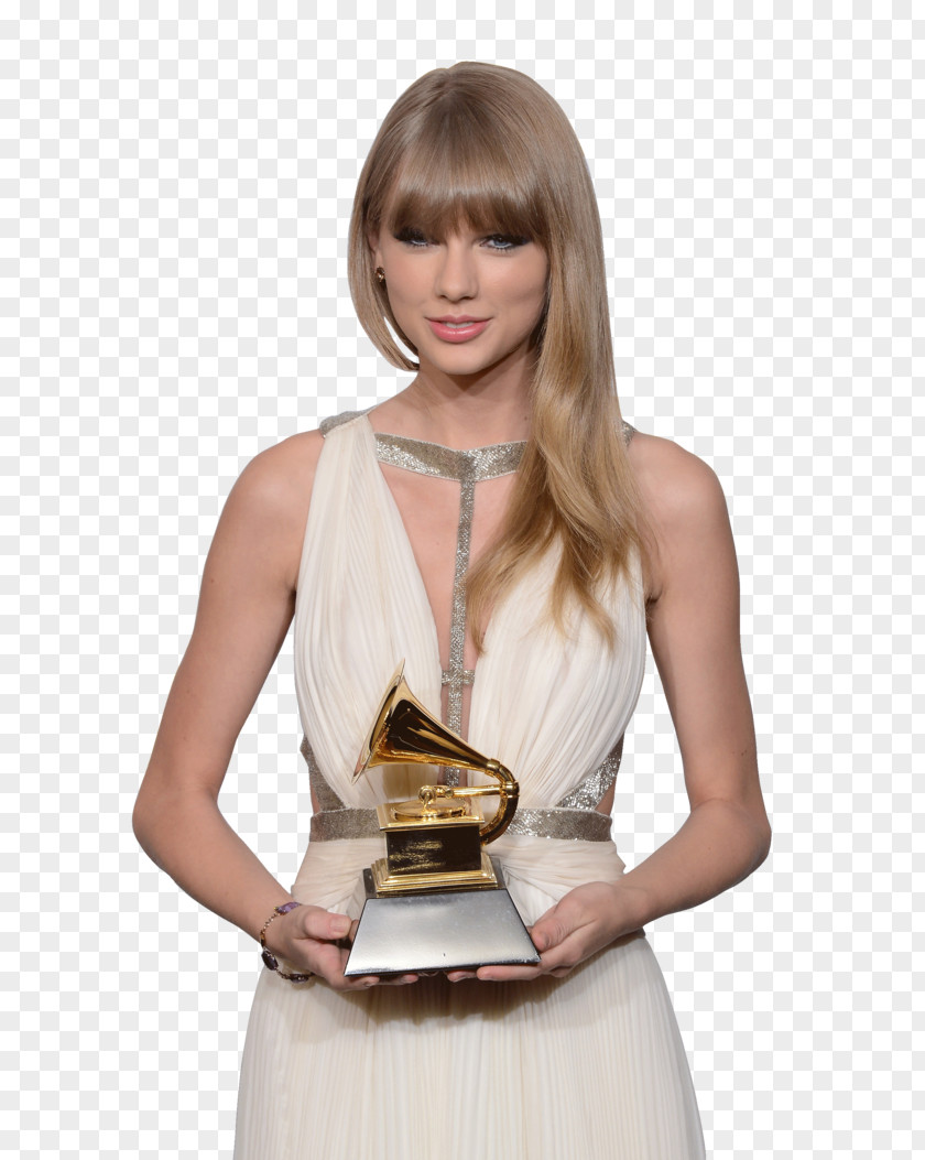 Taylor Swift Model Brown Hair PNG