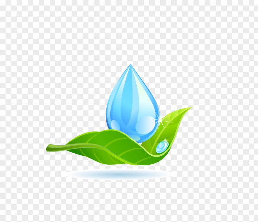 Water Droplets Green Leaf Logo Drop PNG