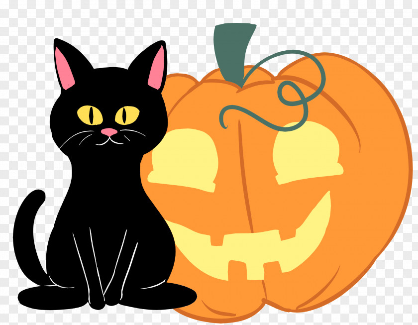 Cats Cat Kitten Art Whiskers PNG