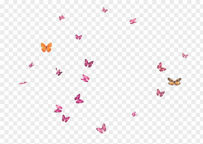 Flying Butterfly Flight PNG
