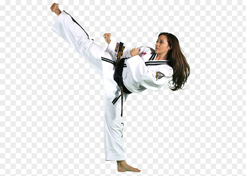 Karate Martial Arts American Taekwondo Association Adult PNG