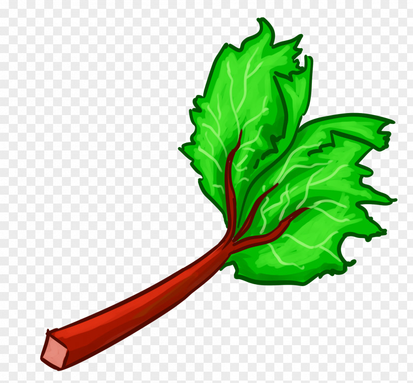 Leaf Chard Plant Stem Clip Art PNG