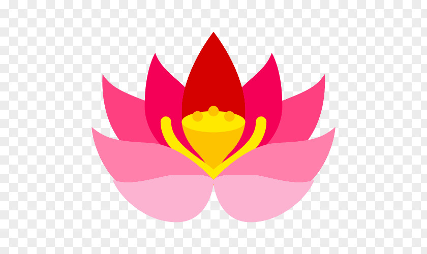 Nelumbo Nucifera Clip Art PNG