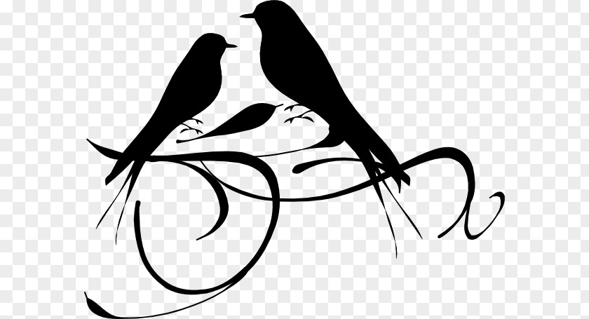 Outline Drawings Of Birds Black-cheeked Lovebird Black And White Clip Art PNG