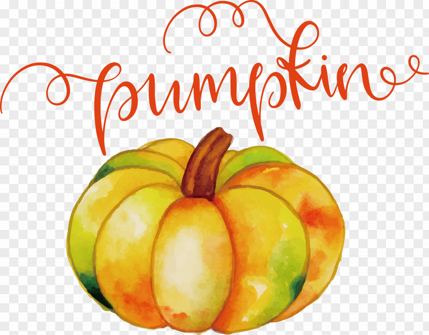 Pumpkin PNG