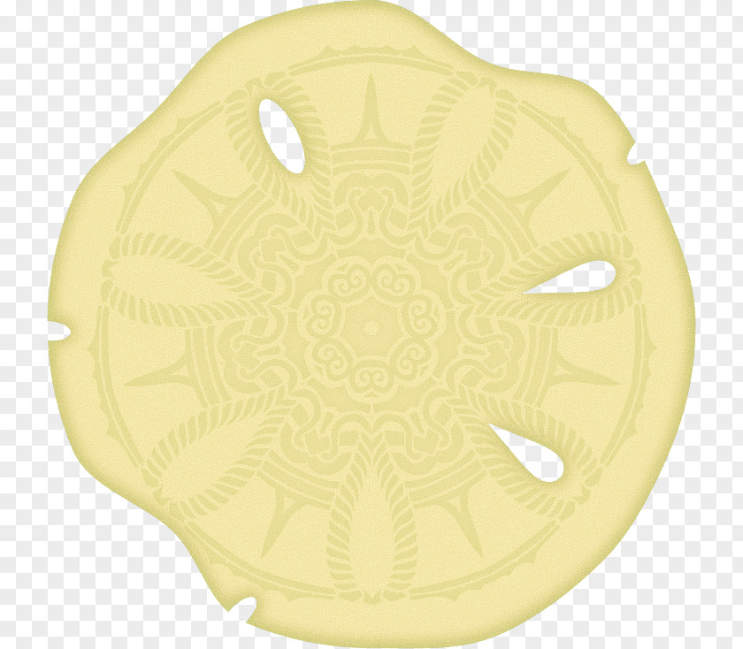 Sand Dollar Skeleton PNG