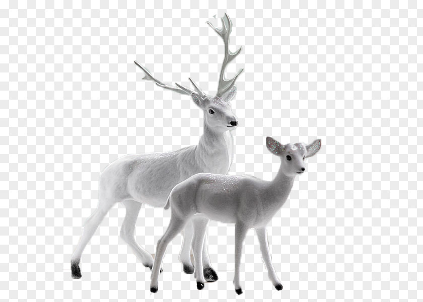 White Deer La Moglie Ingenua E Il Marito Malato Celestino Famiglia Gentilissimi PNG
