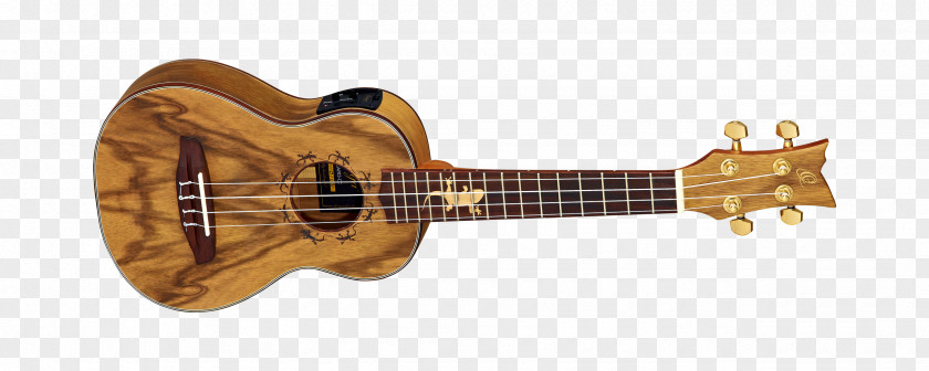 Amancio Ortega Ukulele Acoustic Guitar Musical Instruments String PNG