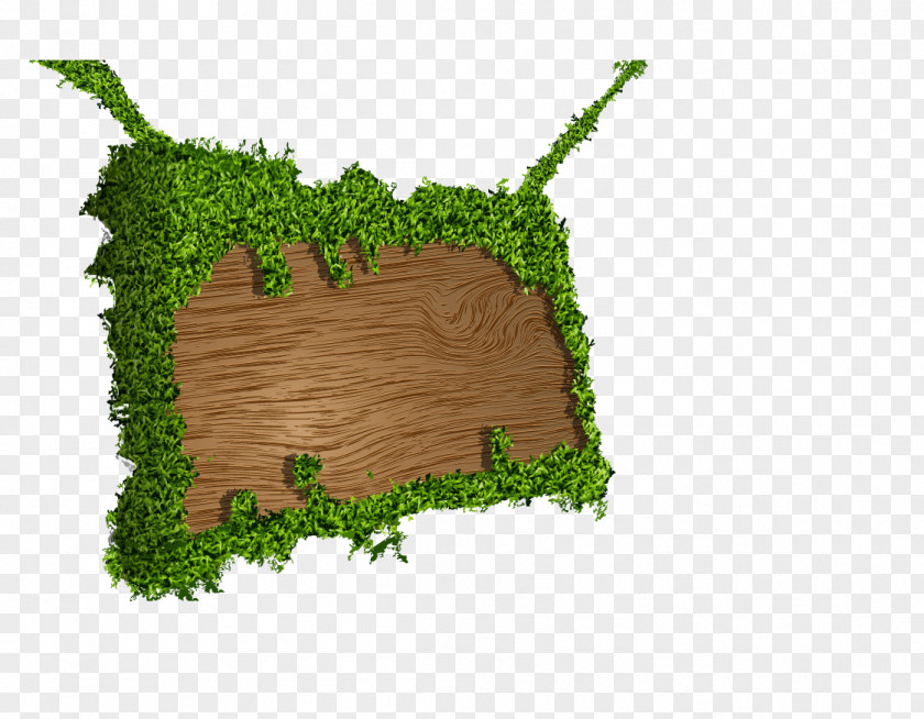 Creative Green Tag Euclidean Vector Royalty-free Clip Art PNG