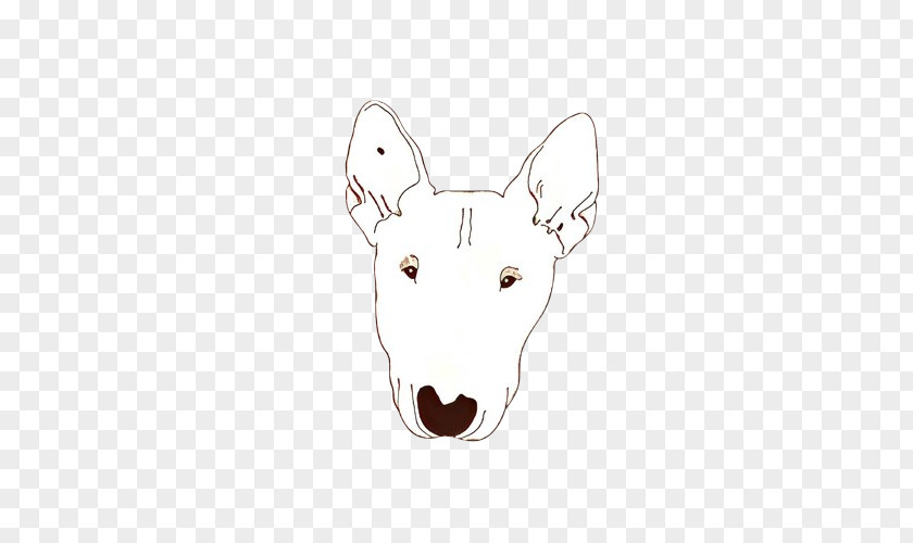 English White Terrier Old Dog Bull Head And PNG