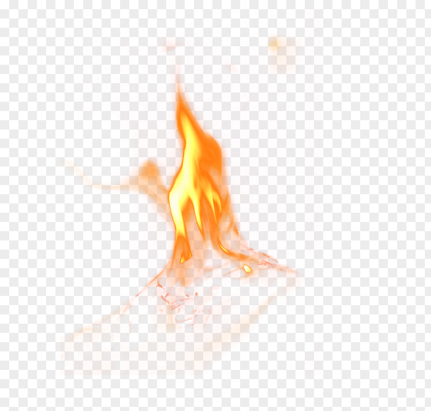 Fire Flame Design PNG
