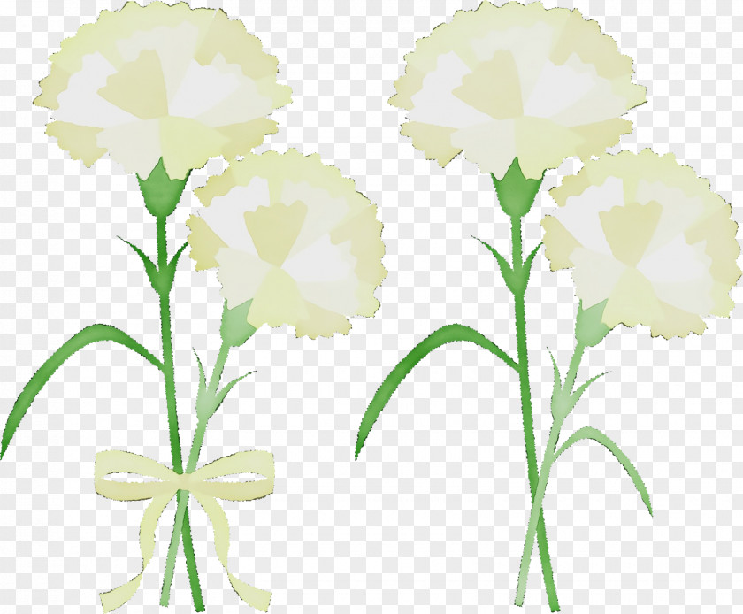 Floral Design PNG