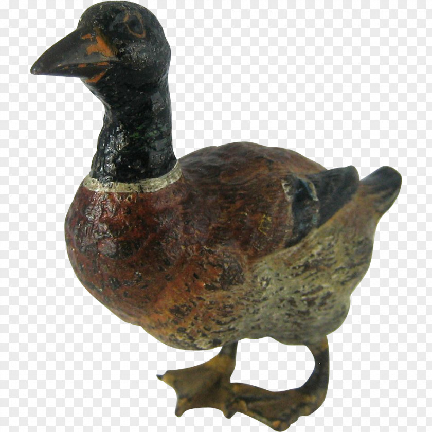 Flu Duck Mallard Goose Bird Anatidae PNG