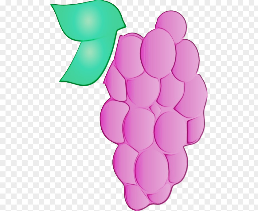 Fruit Plant Grape Grapevine Family Clip Art Pink Vitis PNG