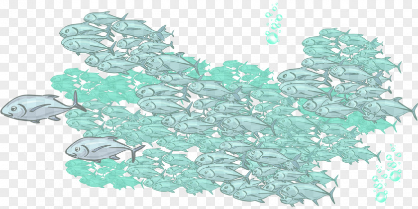 Green Fish Children's Literature Sea Binary Large Object Turquoise PNG