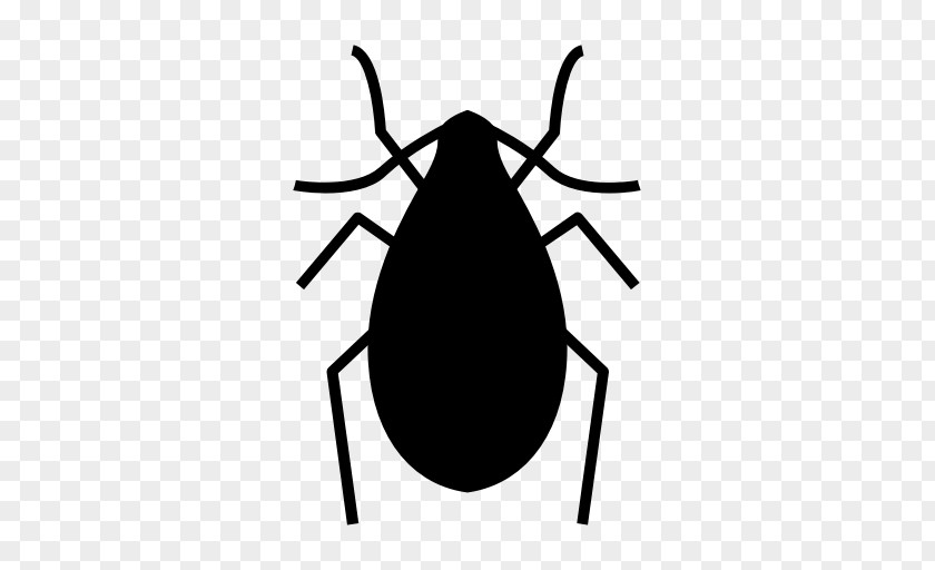 Insect True Bugs Bed Bug Pest Control Bedbug PNG