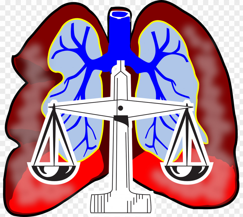 Lawyer Mesothelioma Lawsuit Law Firm PNG