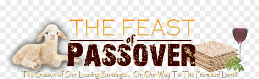 Passover Sacrifice Festival 0 PNG